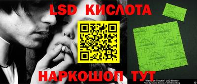 гашик Краснодар